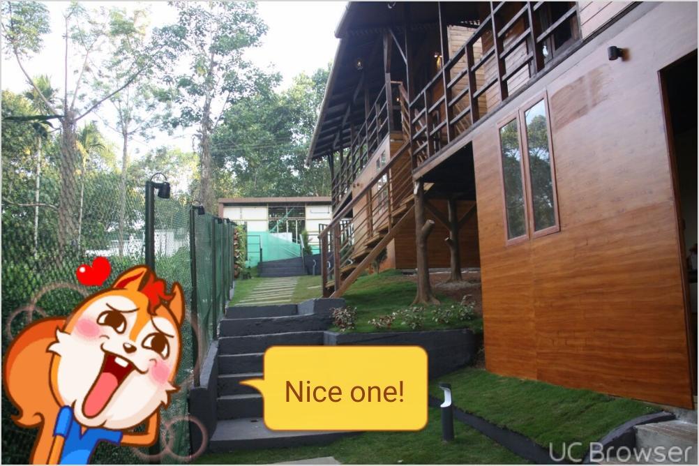 Rippon Eco Woods Villa Kalpatta Ngoại thất bức ảnh