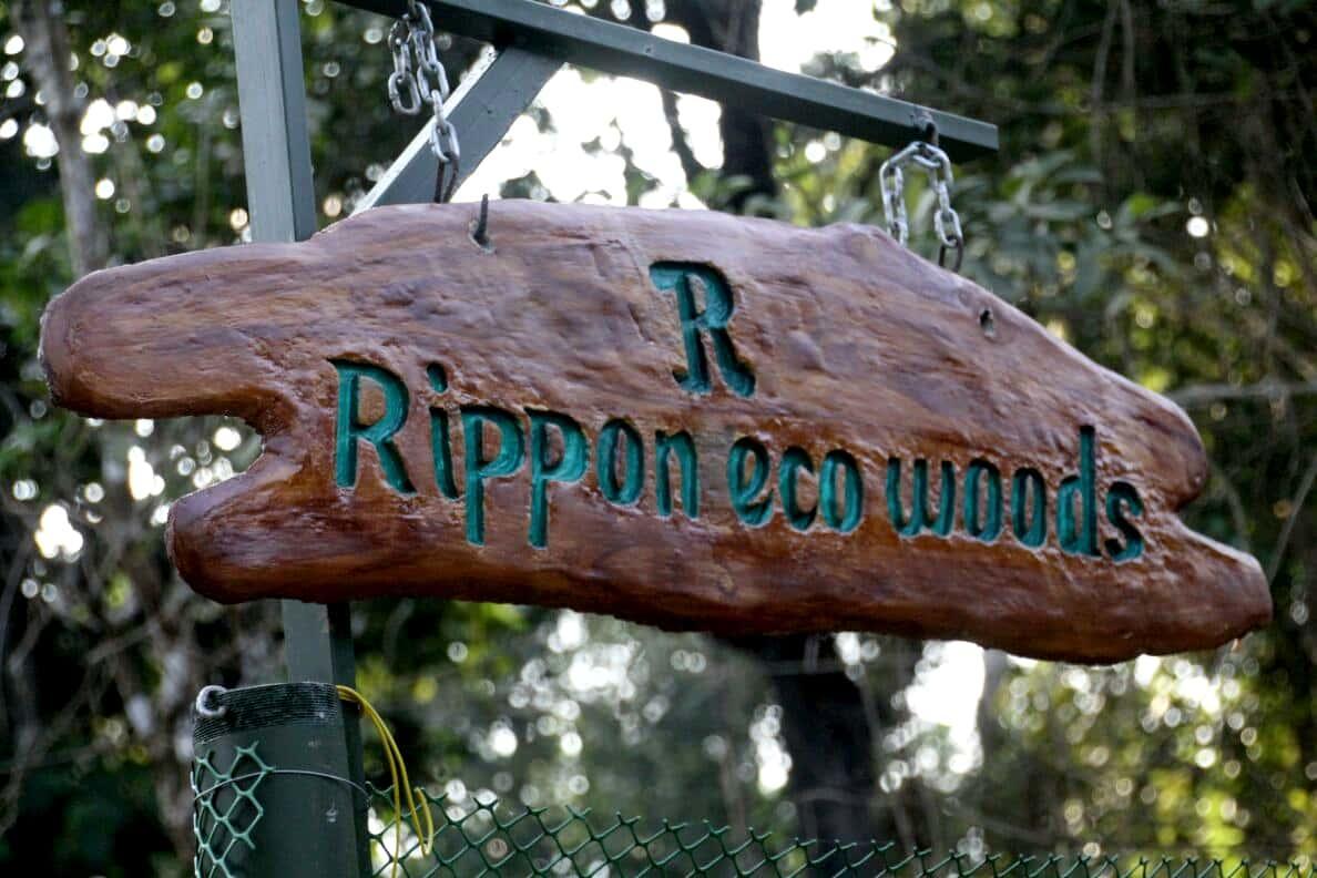 Rippon Eco Woods Villa Kalpatta Ngoại thất bức ảnh